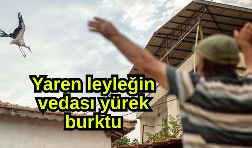 Yaren leyleğin vedası yürek burktu