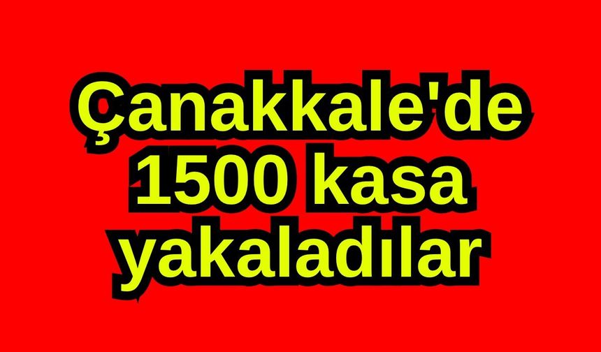 Çanakkale'de 1500 kasa yakaladılar