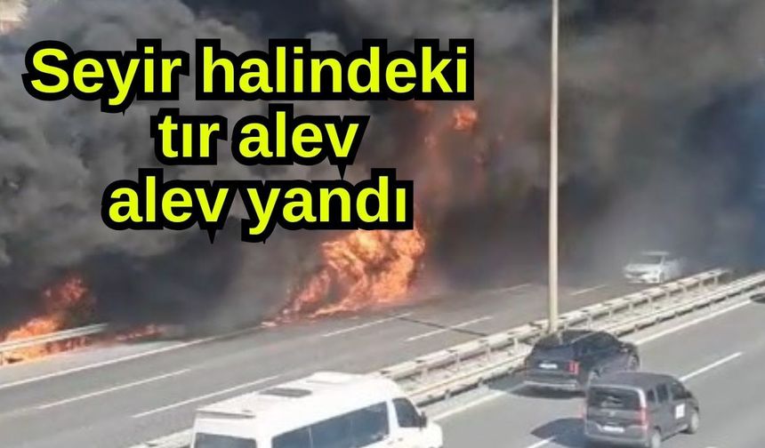 Seyir halindeki tır alev alev yandı