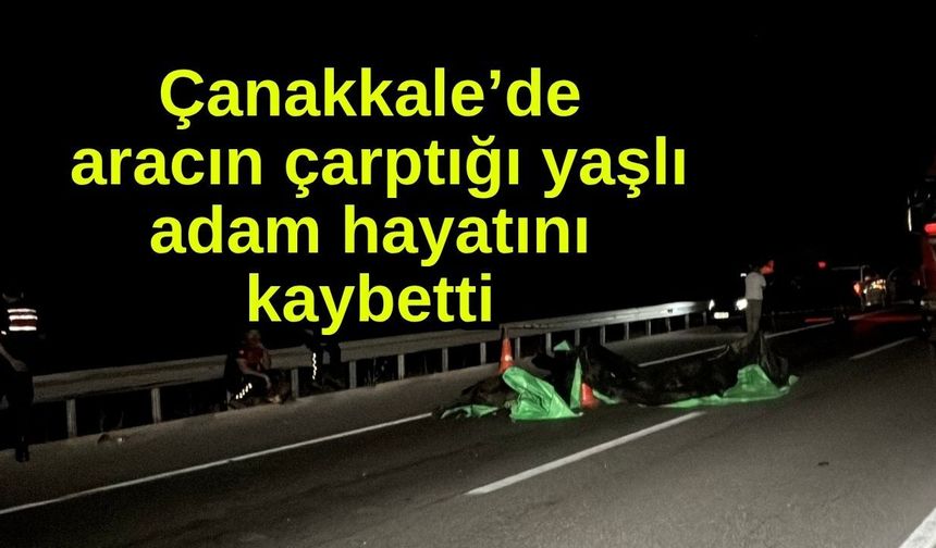 Çanakkale’de aracın çarptığı yaşlı adam hayatını kaybetti (Video)