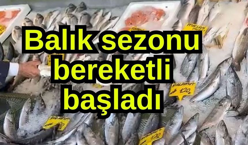 Balık sezonu bereketli başladı (Video)