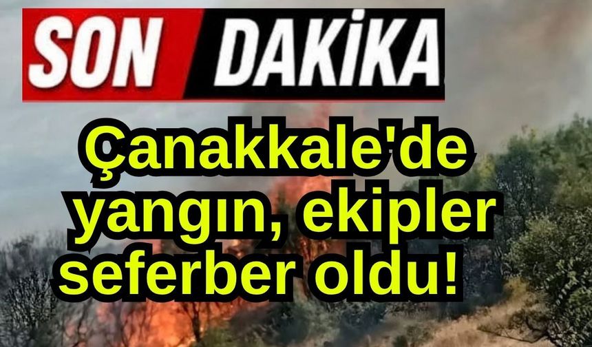 Çanakkale'de yangın, ekipler seferber oldu!