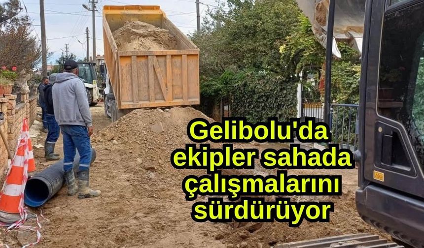 Gelibolu'da ekipler sahada çalışmalarını sürdürüyor