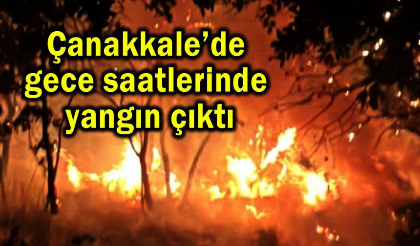 Çanakkale’de gece saatlerinde yangın çıktı