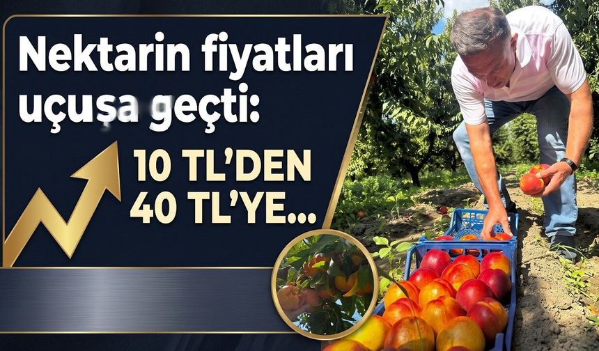 Nektarinde fiyatlar yükseldi (Video)