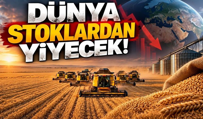 Tahılda düşüş beklentisi; dünya stoklardan yiyecek (Video)