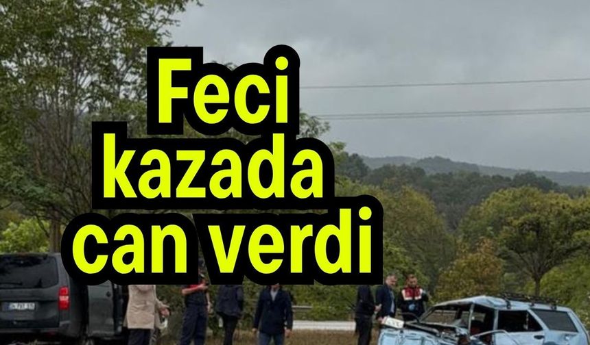 Feci kazada can verdi