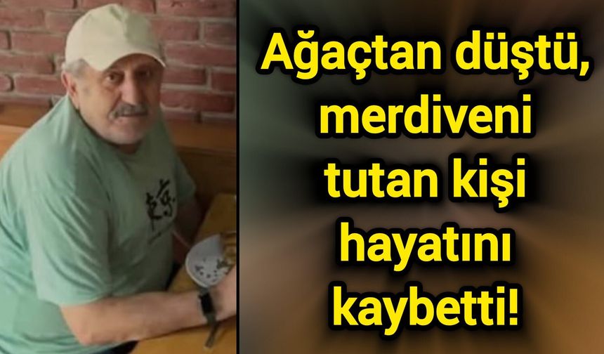 Ağaçtan düştü, merdiveni tutan kişi hayatını kaybetti!