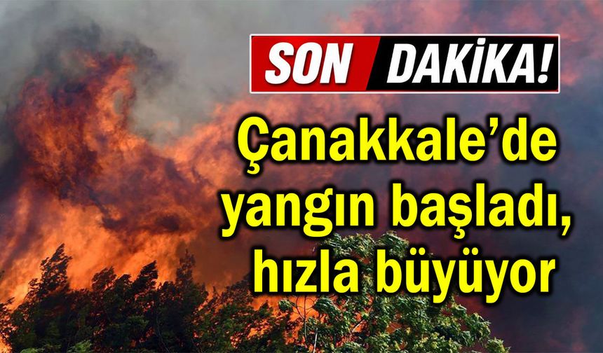 Çanakkale’de yangın başladı, hızla büyüyor