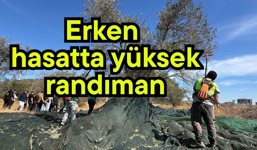 Erken hasatta yüksek randıman