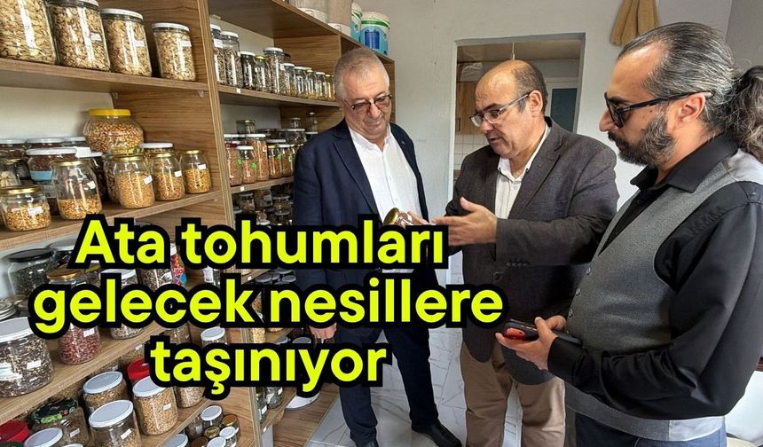Ata tohumları gelecek nesillere taşınıyor