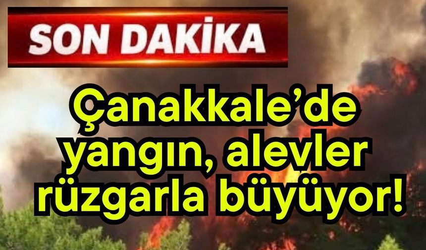 Çanakkale’de yangın, alevler rüzgarla büyüyor! (Video)