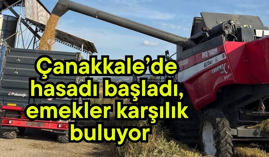 Çanakkale’de hasadı başladı, emekler karşılık buluyor