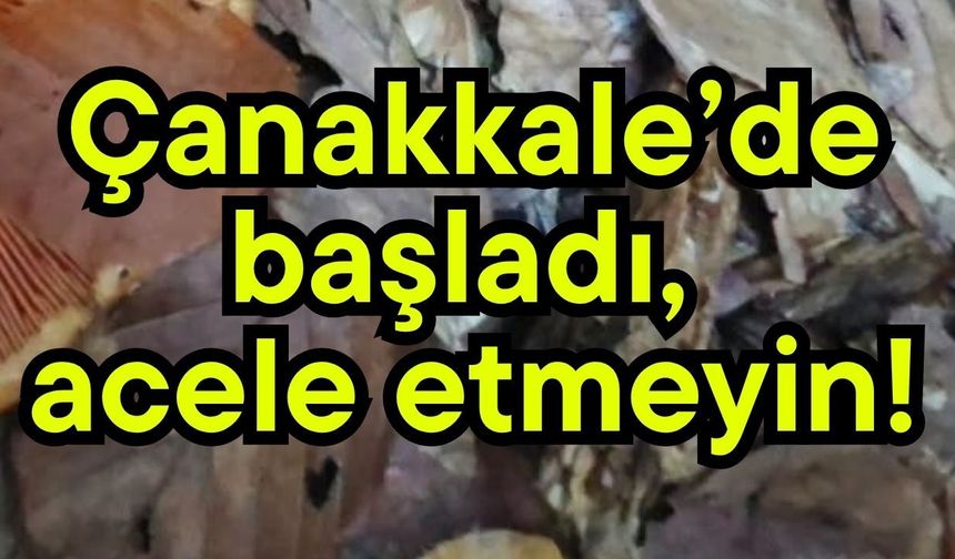 Çanakkale’de başladı, acele etmeyin!