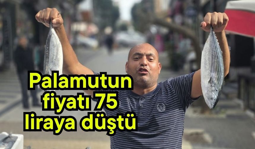 Palamutun fiyatı 75 liraya düştü