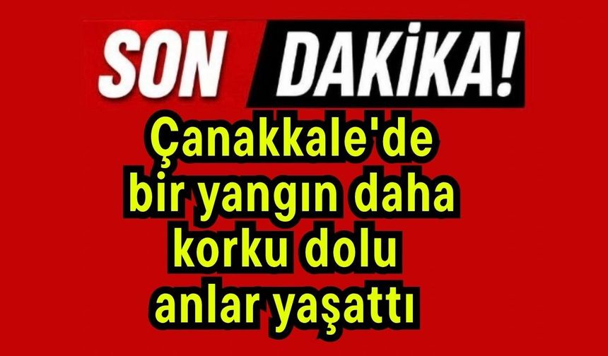 Çanakkale'de bir yangın daha korku dolu anlar yaşattı (Video)