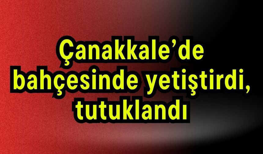 Çanakkale’de bahçesinde yetiştirdi, tutuklandı