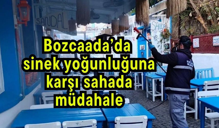 Bozcaada’da sinek yoğunluğuna karşı sahada müdahale