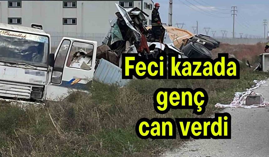 Feci kazada genç can verdi