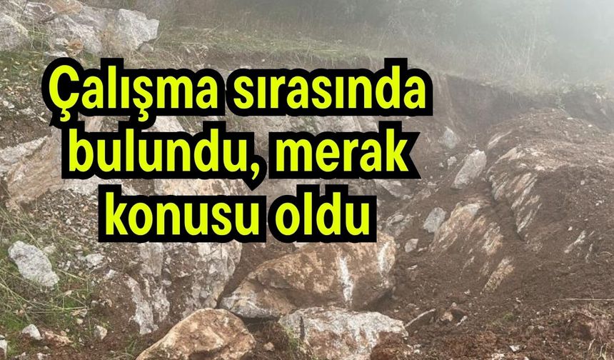 Çalışma sırasında bulundu, merak konusu oldu