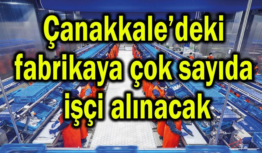 Çanakkale’deki fabrikaya çok sayıda işçi alınacak