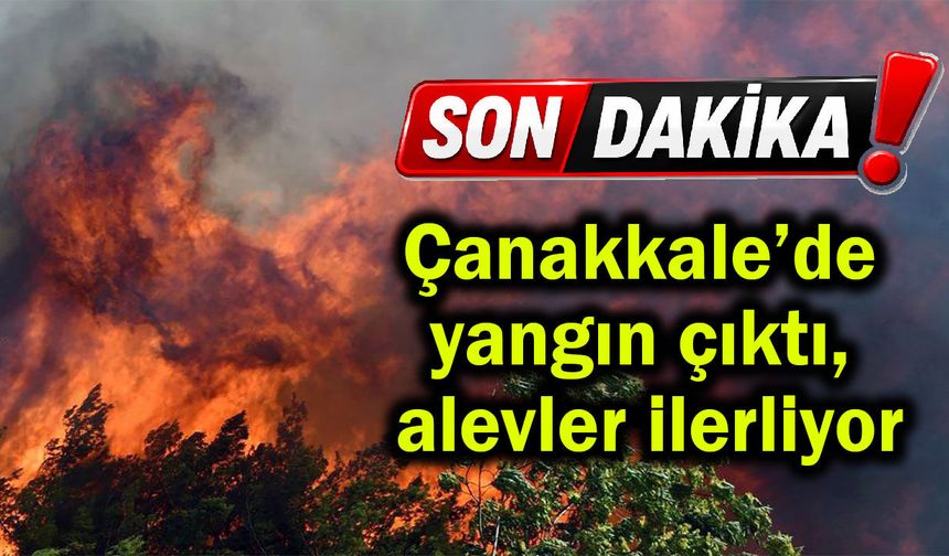 Çanakkale’de yangın çıktı, alevler ilerliyor