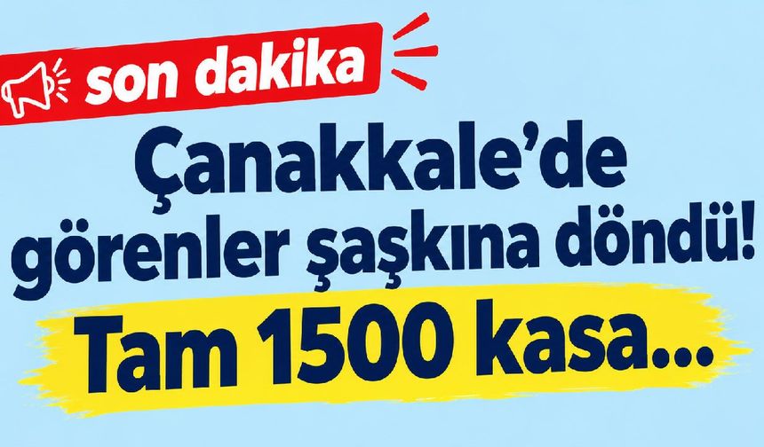 Çanakkale’de görenler şaşkına döndü! Tam 1500 kasa