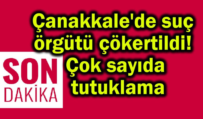 Çanakkale'de suç örgütü çökertildi! Çok sayıda tutuklama