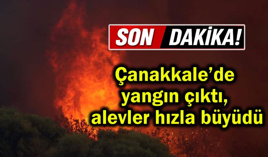 Çanakkale’de yangın çıktı, alevler hızla büyüdü...