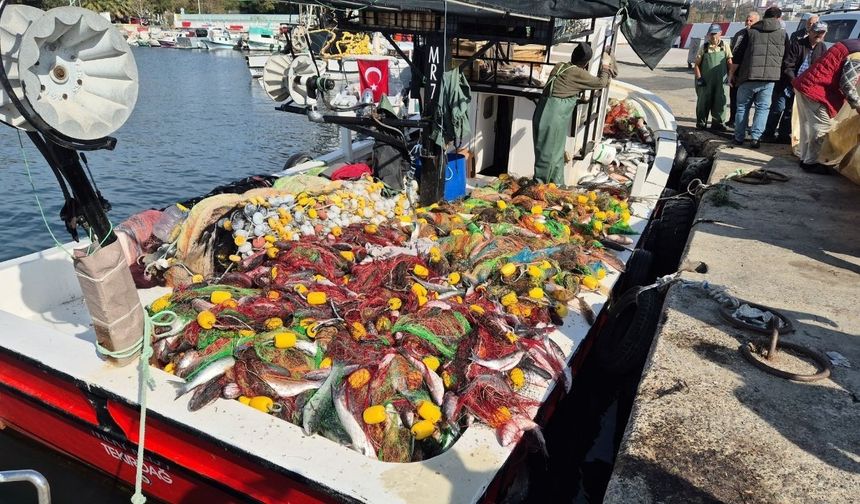 Marmara'da kefal bereketi, 1,5 ton kefalle döndüler (Video)