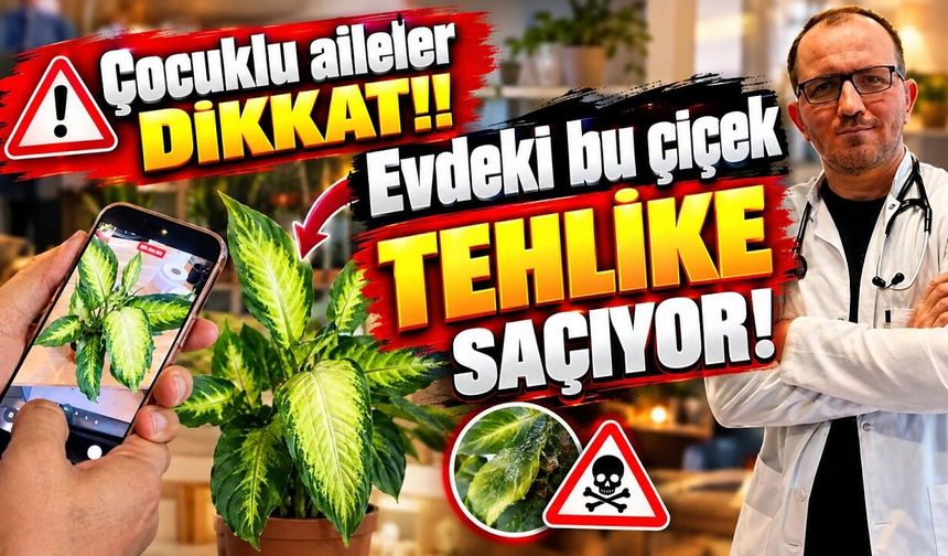 Çocuklu aileler dikkat! Evdeki bu çiçek tehlike saçıyor! (Video)