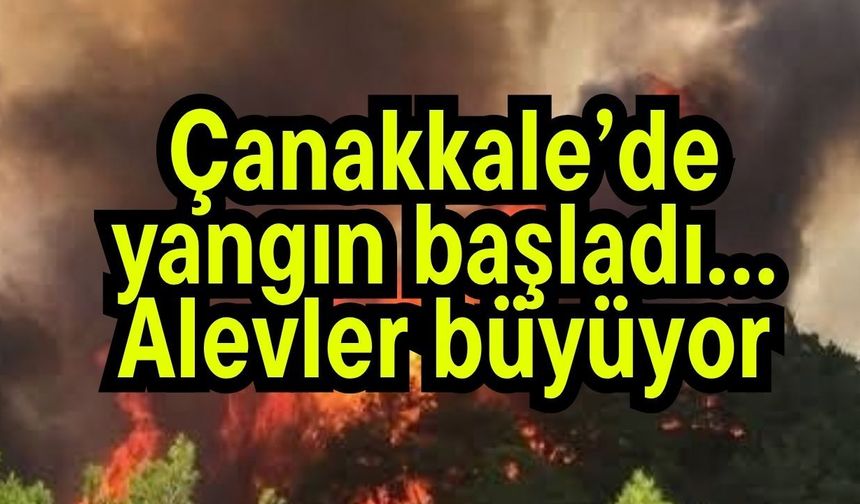 Çanakkale’de yangın başladı… Alevler büyüyor