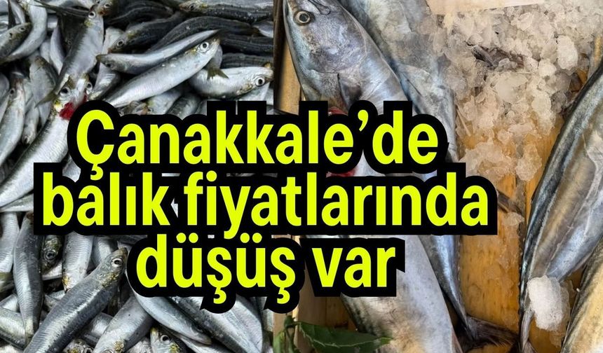 Çanakkale’de balık fiyatlarında düşüş var