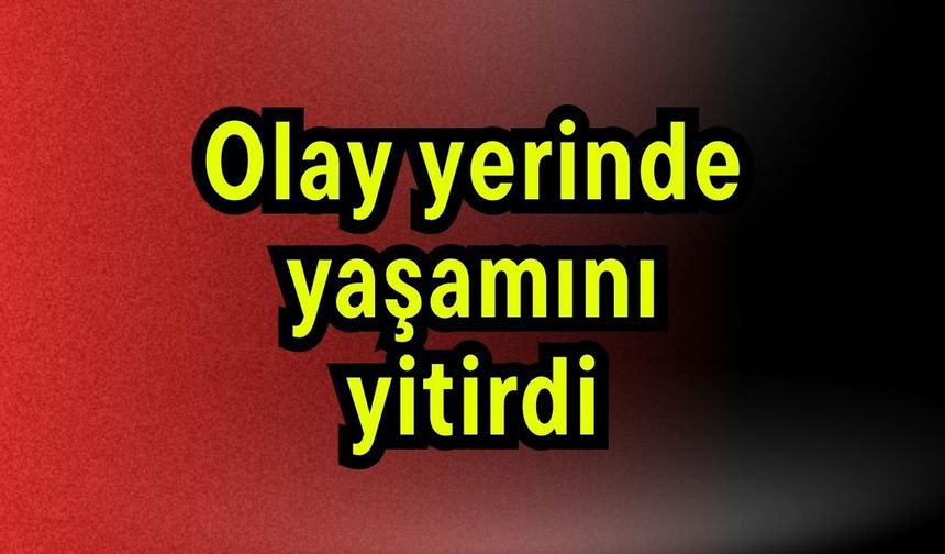 Olay yerinde yaşamını yitirdi
